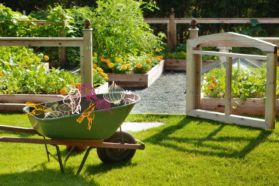 How To Build A Backyard Garden: A Step-by-Step Guide for Beginners