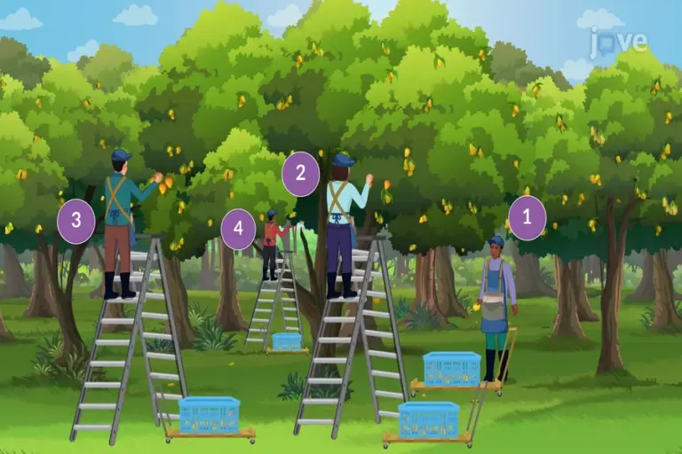 How to Find Marginal Product of Labor: A Simple Guide for Students and Businesses