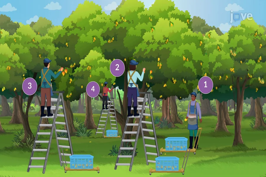 How to Find Marginal Product of Labor: A Simple Guide for Students and Businesses
